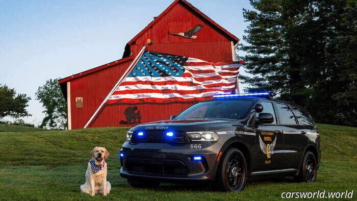 Paws, Props, and Patrol Vehicles: Our Completely Unofficial Cruiser Awards | Carscoops